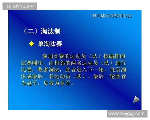 南京羽毛球队的整体压制解析与深度剖析羽毛球竞技的成功秘诀