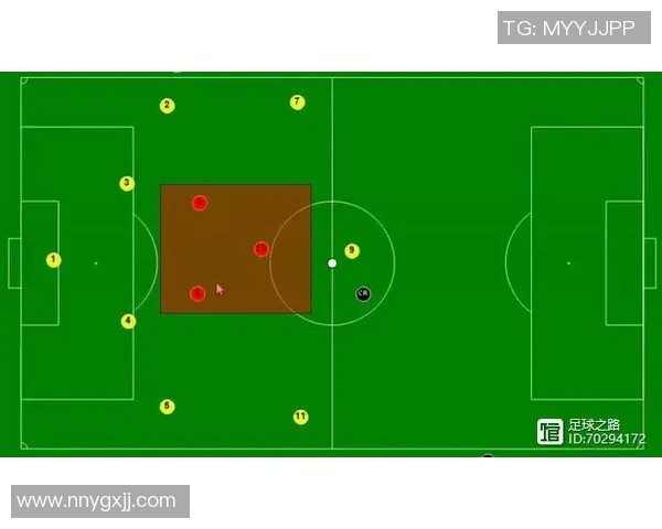 深圳足球队耐力分析与战术适应性研究探讨