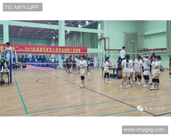 武汉排球队灵活性分析：战术创新与团队协作的完美结合