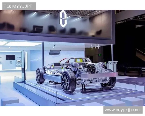 深圳排球队进攻革新之路探秘：技术与战术的全面升级与突破